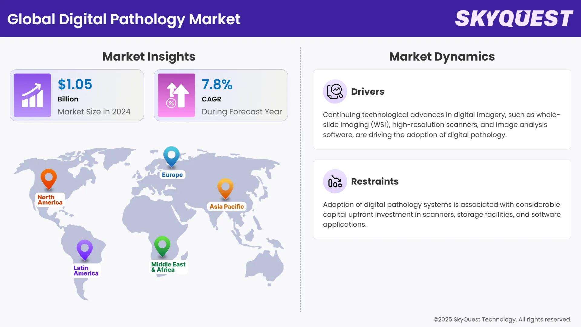 Digital Pathology Market Infographics