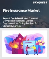 Global Fire Insurance Market