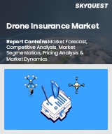 Global Drone Insurance Market<b> </b>