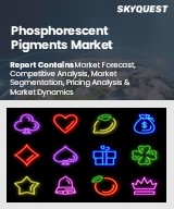 Global Phosphorescent Pigments Market