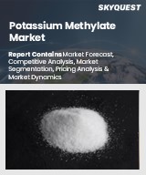 Global Potassium Methylate Market