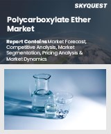 Global Polycarboxylate Ether Market