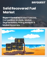 Global Solid Recovered Fuel Market
