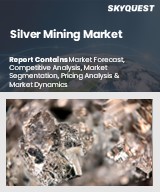 Global Silver Mining Market