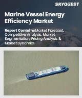 Global Marine Vessel Energy Efficiency Market