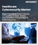 Global Healthcare Cybersecurity Market