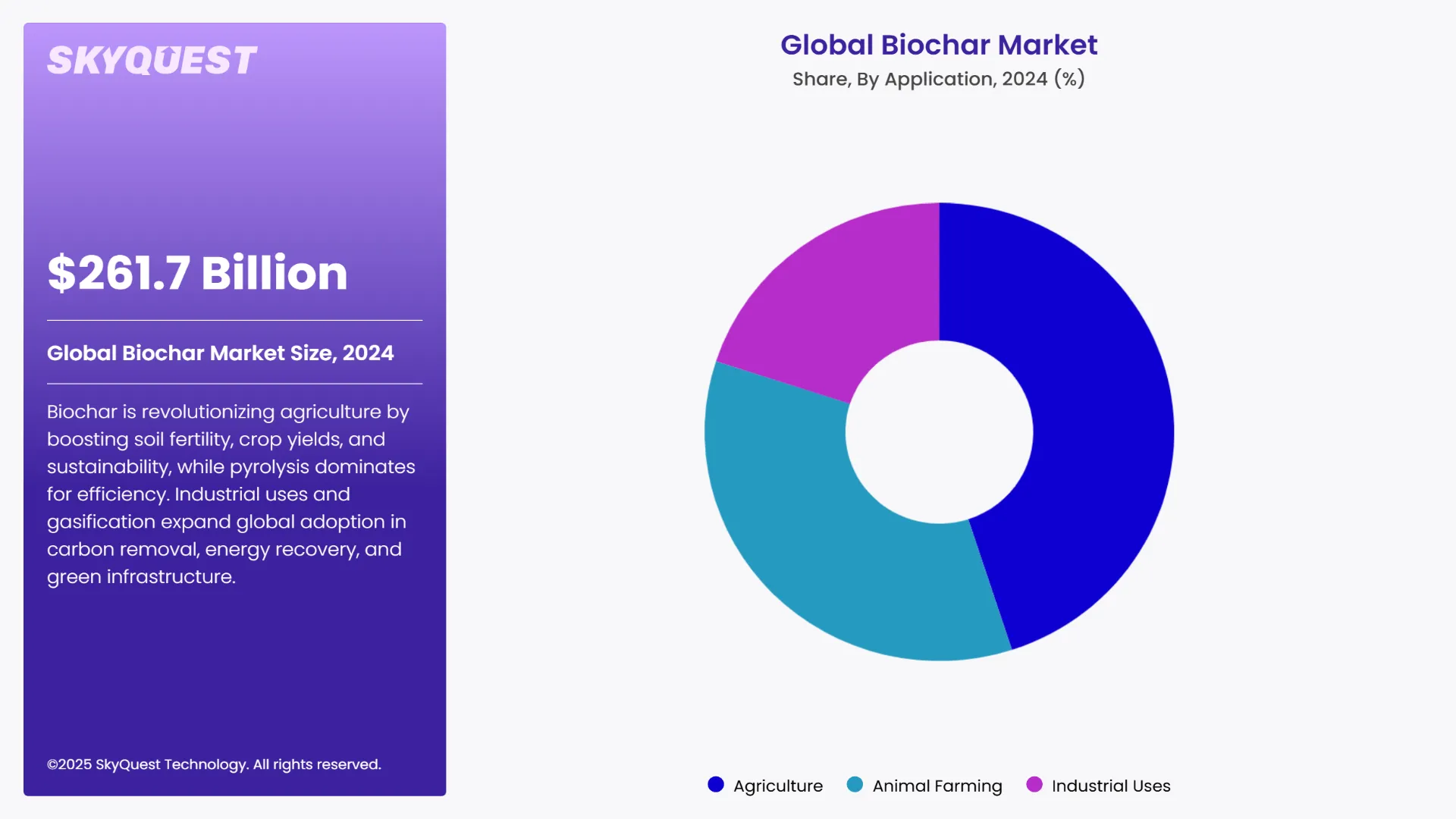 Biochar Market Segmental Analysis