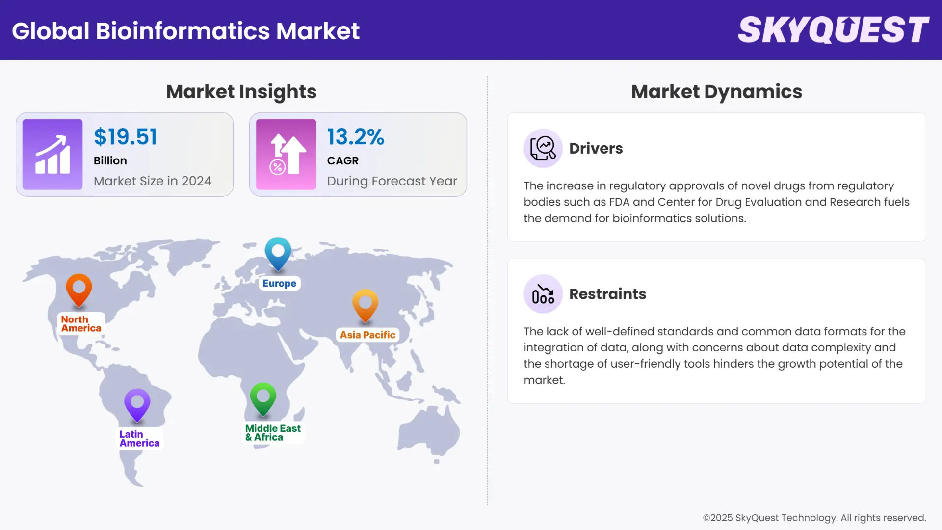 Bioinformatics Market Insights