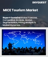 Global MICE Tourism Market