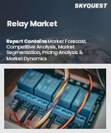 Global Relay Market