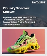 Global Chunky Sneaker Market