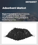 Global Adsorbent Market