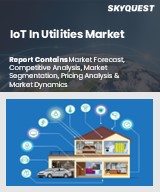 IoT In Utilities Market