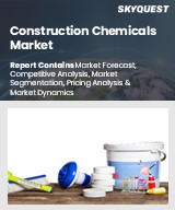 Global Construction Chemicals Market
