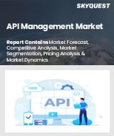Global API Management Market