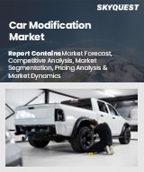 Global Car Modification Market
