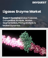 Ligases Enzyme Market
