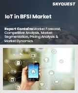 IoT in BFSI Market