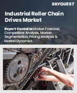 Global Industrial Roller Chain Drives Market