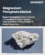 Global Magnesium Phosphate Market