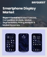 Global Smartphone Display Market