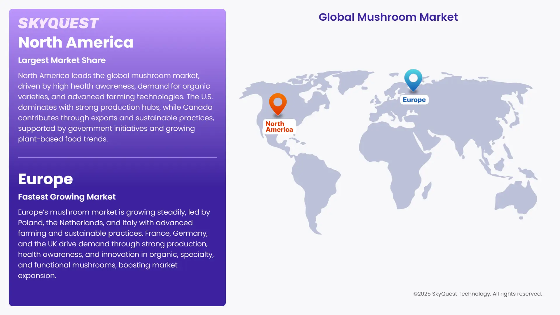 Mushroom Market Regional Insights