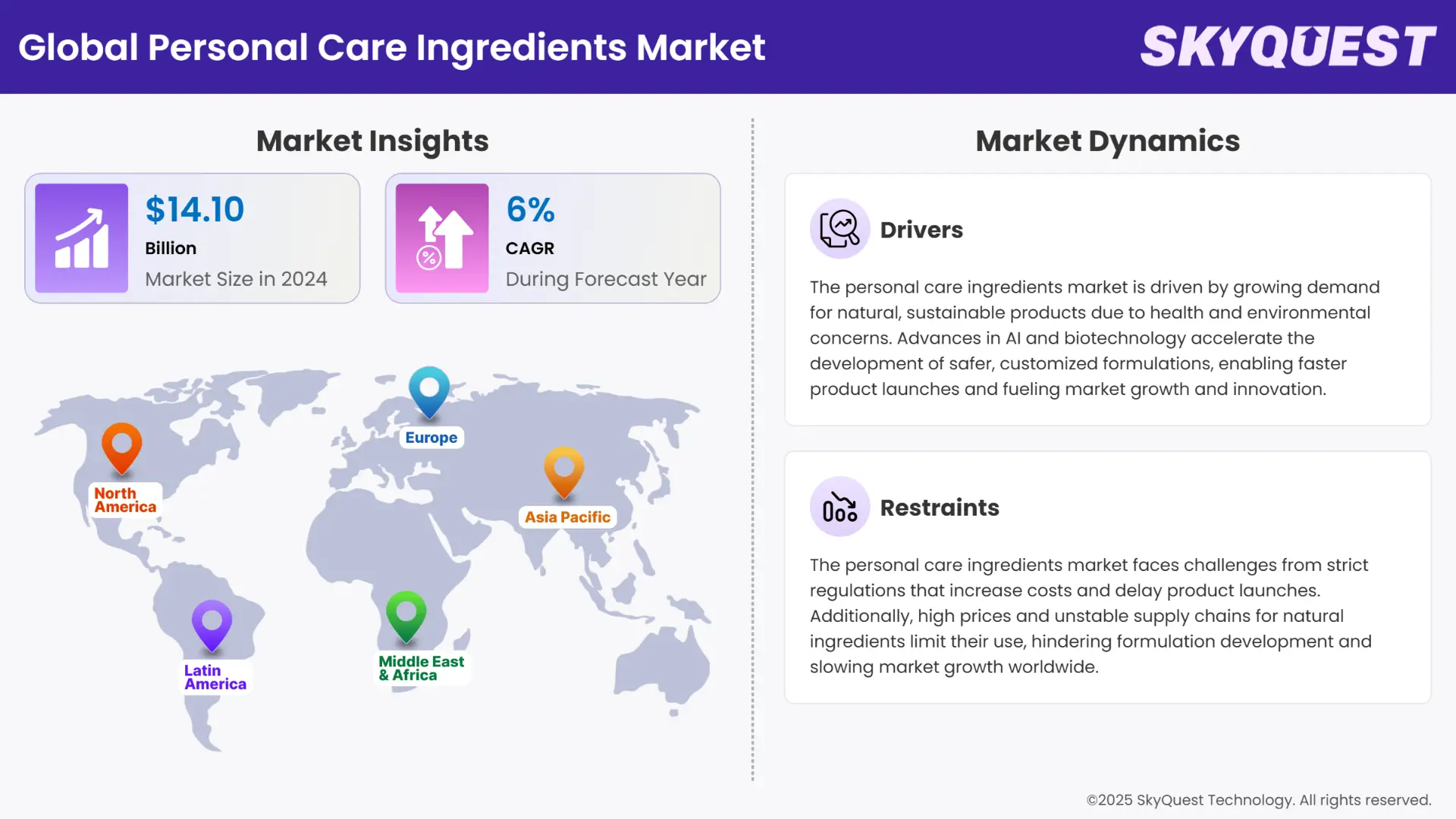 Personal Care Ingredients Market Insights