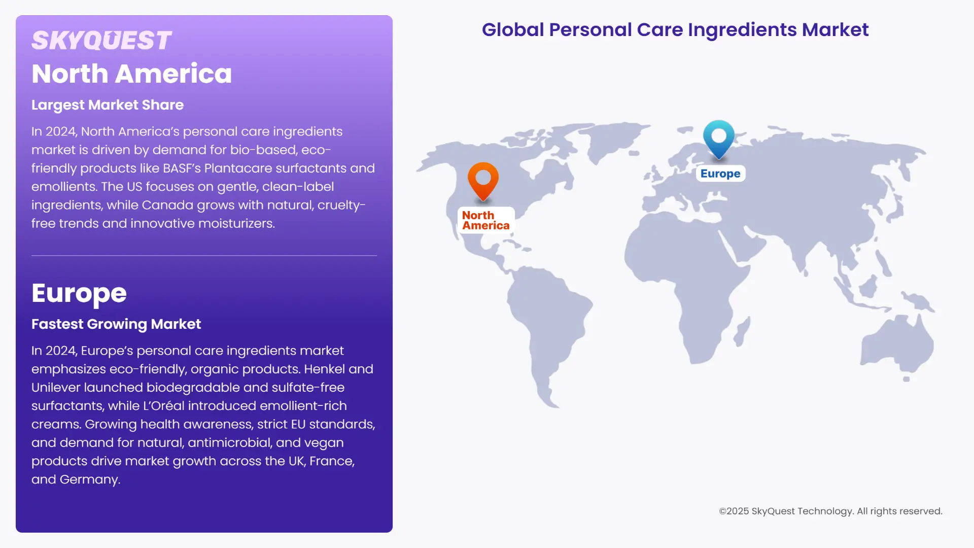 Personal Care Ingredients Market Regional Insights