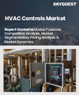 Global HVAC Controls Market