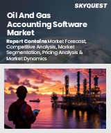 Global Oil And Gas Accounting Software Market