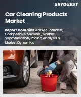 Car Cleaning Products Market