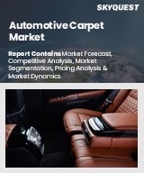 Global Automotive Carpet Market