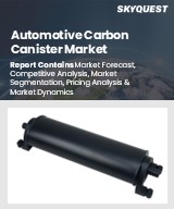 Global Automotive Carbon Canister Market