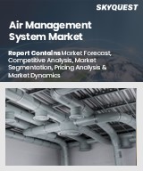 Global Air Management System Market