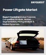 Global Power Liftgate Market