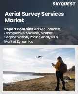 Global Aerial Survey Services Market