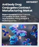 Global Antibody Drug Conjugates Contract Manufacturing Market