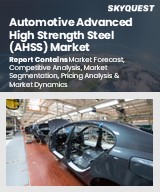 Automotive AHSS Market