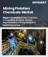Global Mining Flotation Chemicals Market