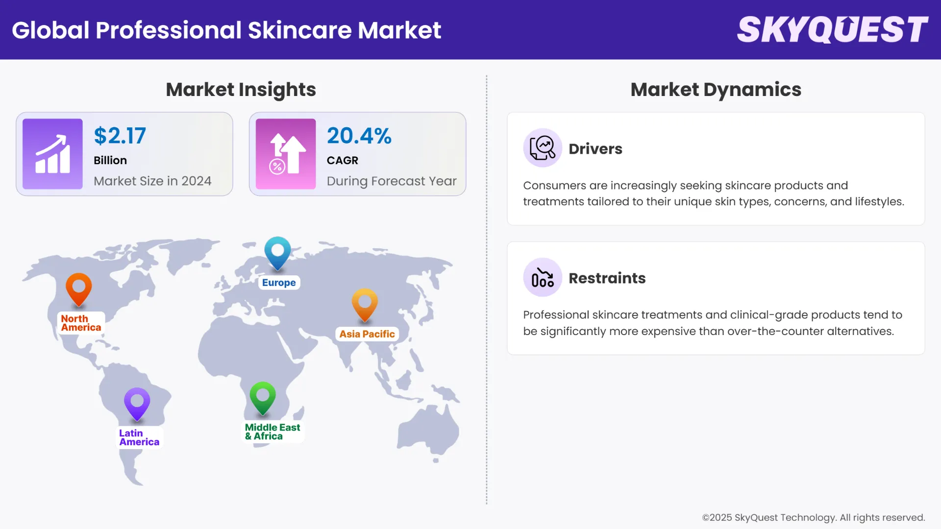 Professional Skincare Market Infographics