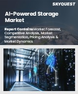 Global AI-powered storage Market