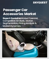 Global Passenger Car Accessories Market