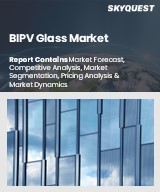 Global BIPV Glass Market