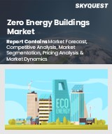 Global Zero Energy Buildings Market