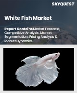 Global White Fish Market