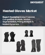 Global Heated Gloves Market