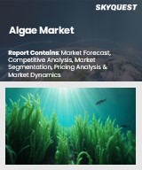 Global Algae Market