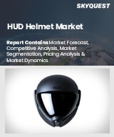 Global HUD Helmet Market
