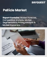 Global Pellicle Market