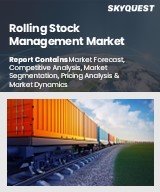 Global Rolling Stock Management Market